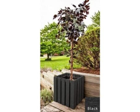 Economy Outdoor Planter in black with a small tree inside.