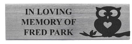 Olympian Plaque 2.5x8 silver