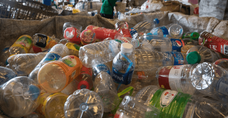 plastic bottles in a recycling center bin