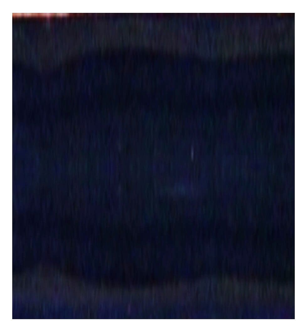 Indigo