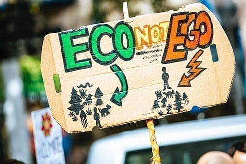 Eco not Ego poster