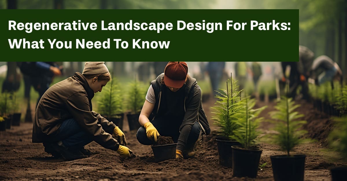 Regenerative Landscape Design For Parks: What You Need To Know