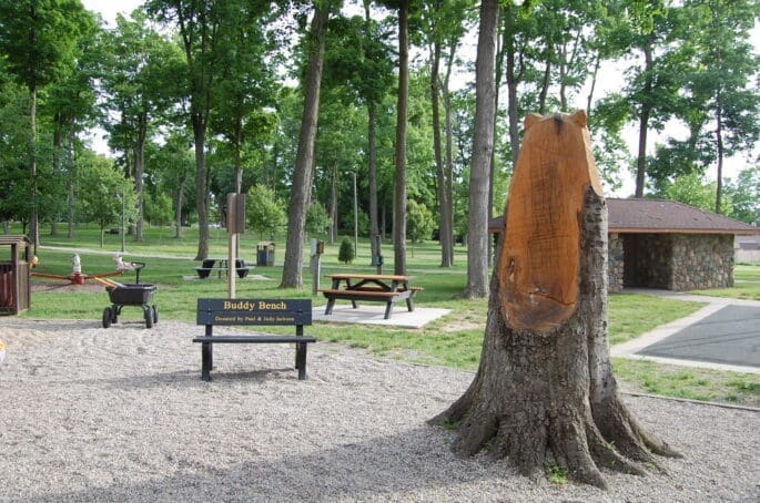 Lake Odessa Buddy Bench & Table