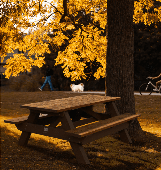 picnic area