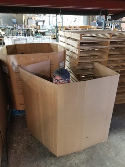 Peek a boo! Taking a break in fab by hiding in a box.