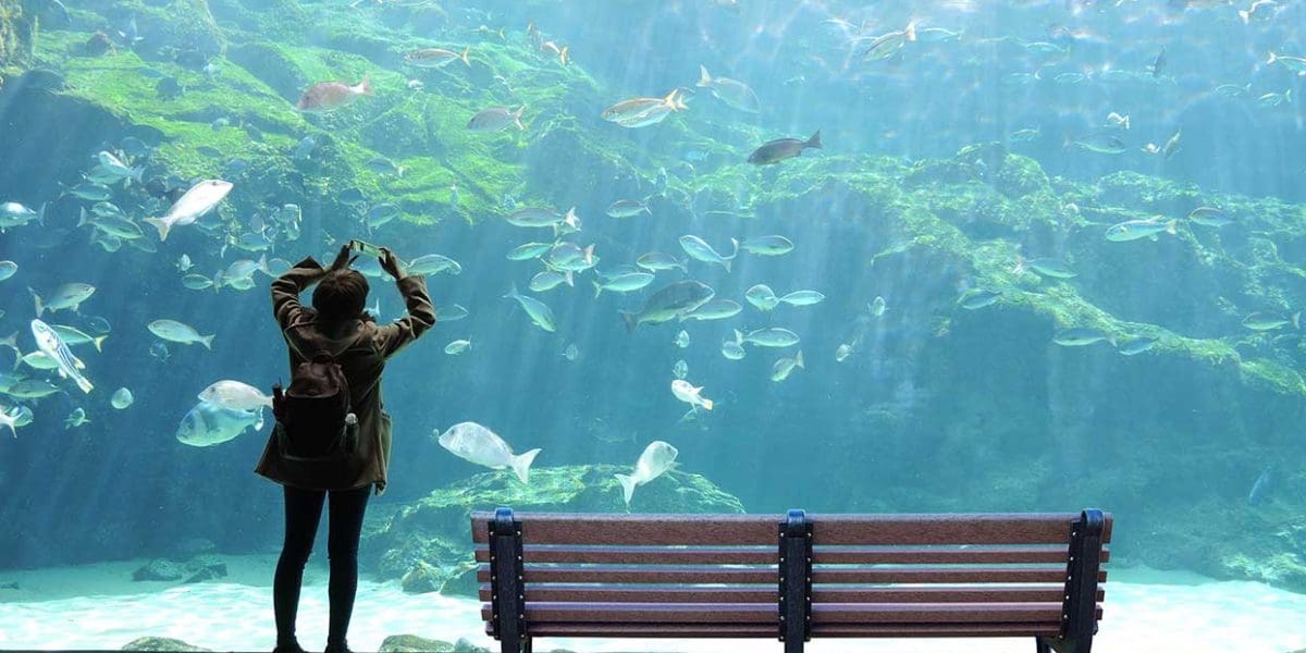 Willow 6ft Backed Bench - Aquarium